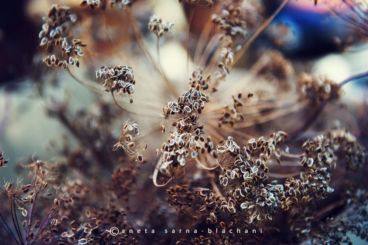 zdjęcia do dekoracji wnętrz