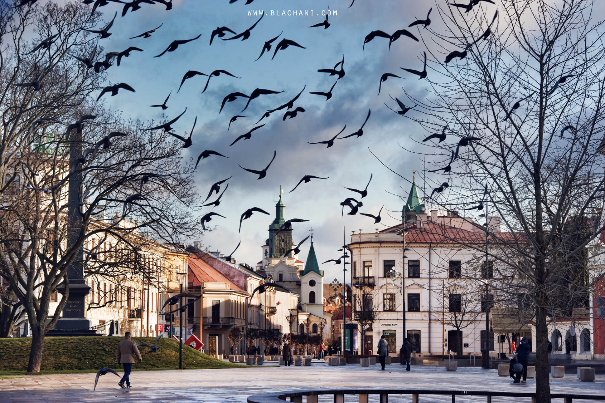 lublin portret miasta