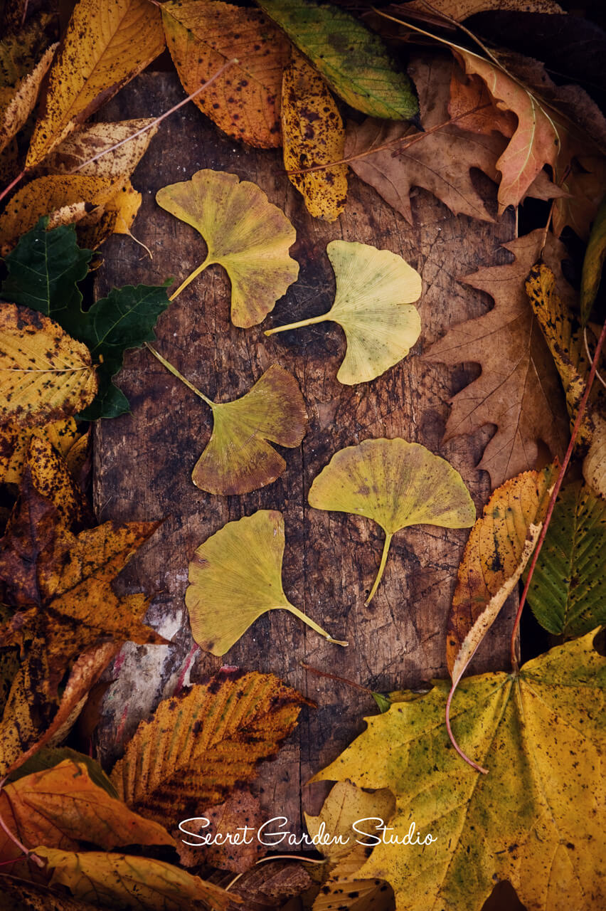 zdjęcia produktowe lublin