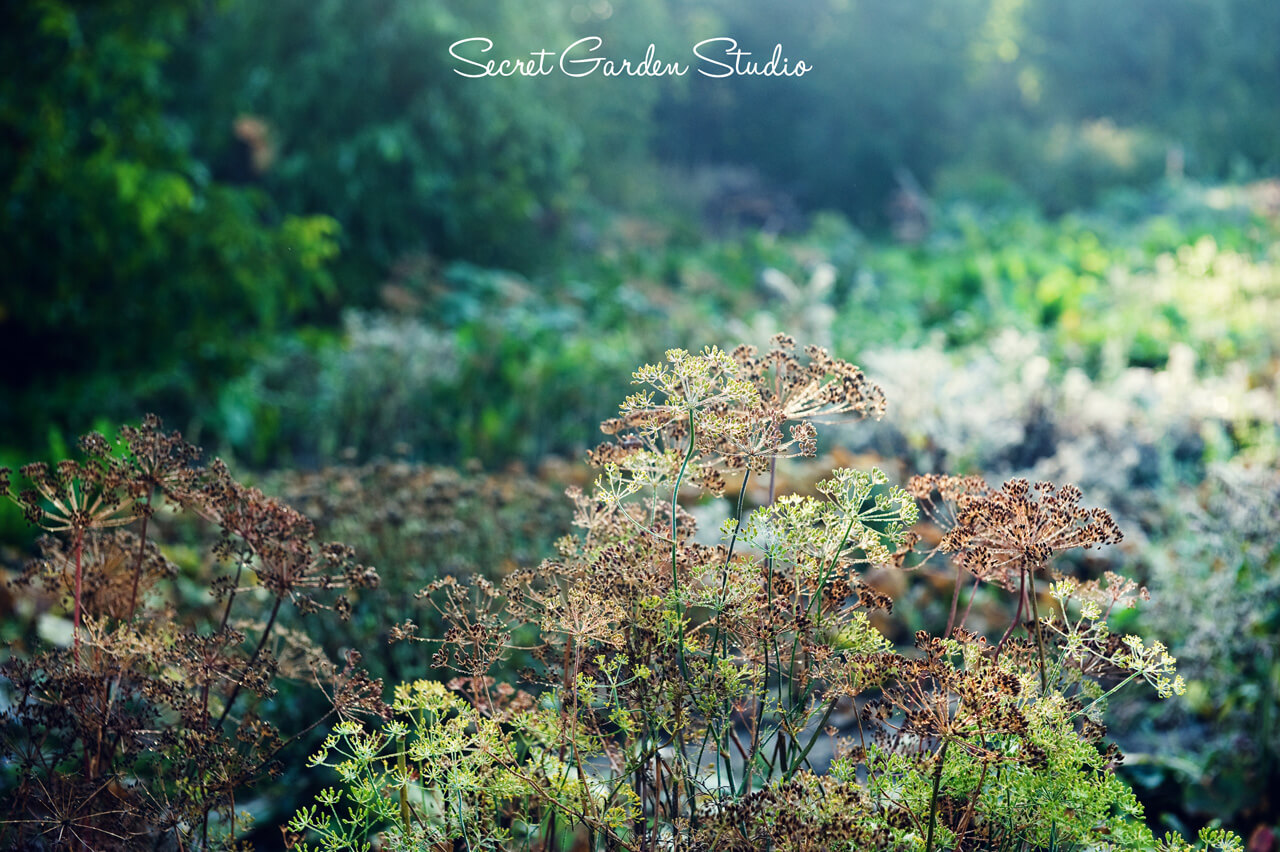 zdjęcia produktowe lublin