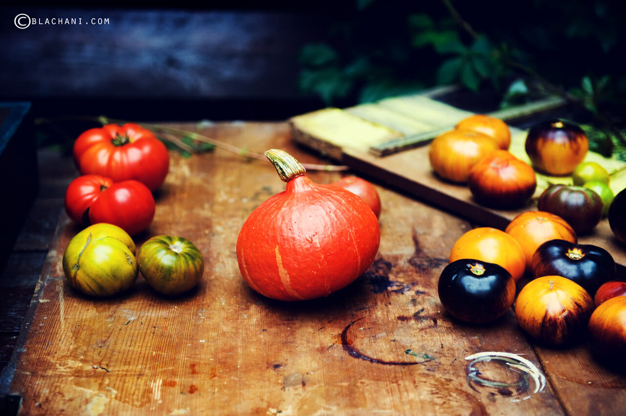 secret garden studio lublin zdjęcia produktowe lublin