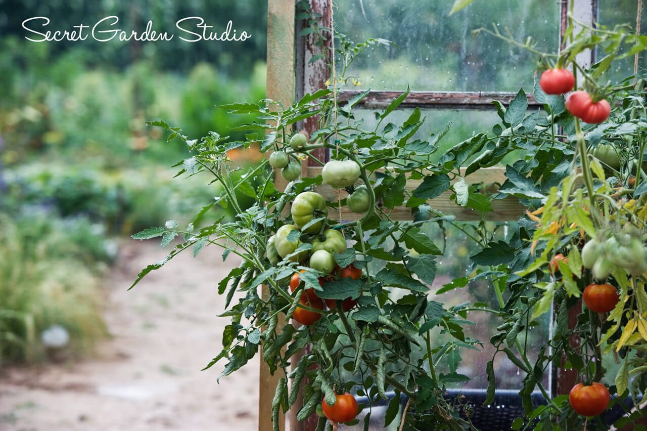 zdjęcia produktowe lublin