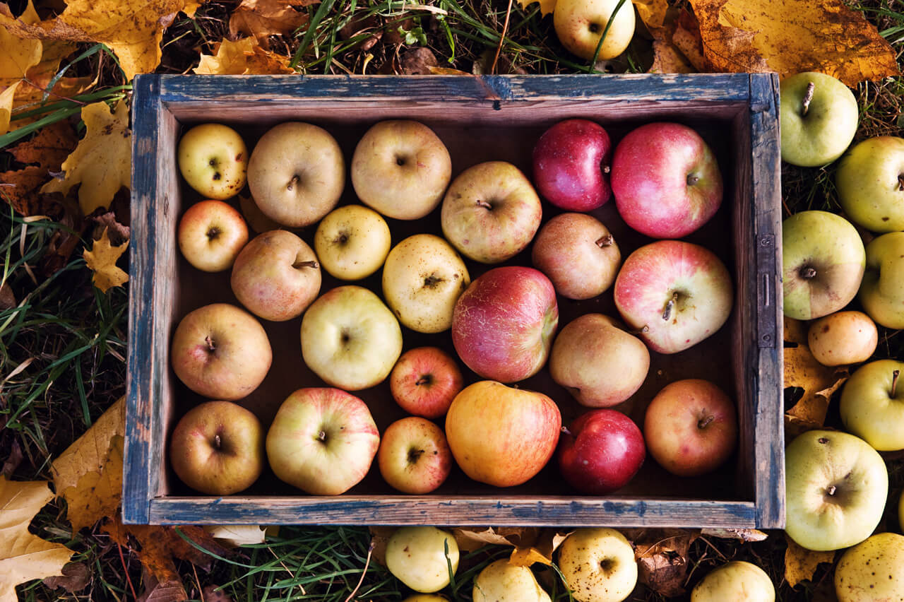 fotografia reklamowa lublin