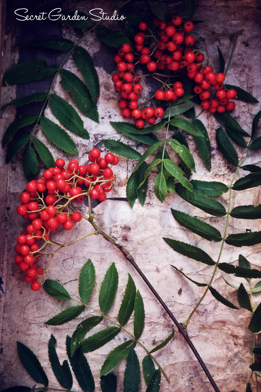 zdjęcia produktowe lublin