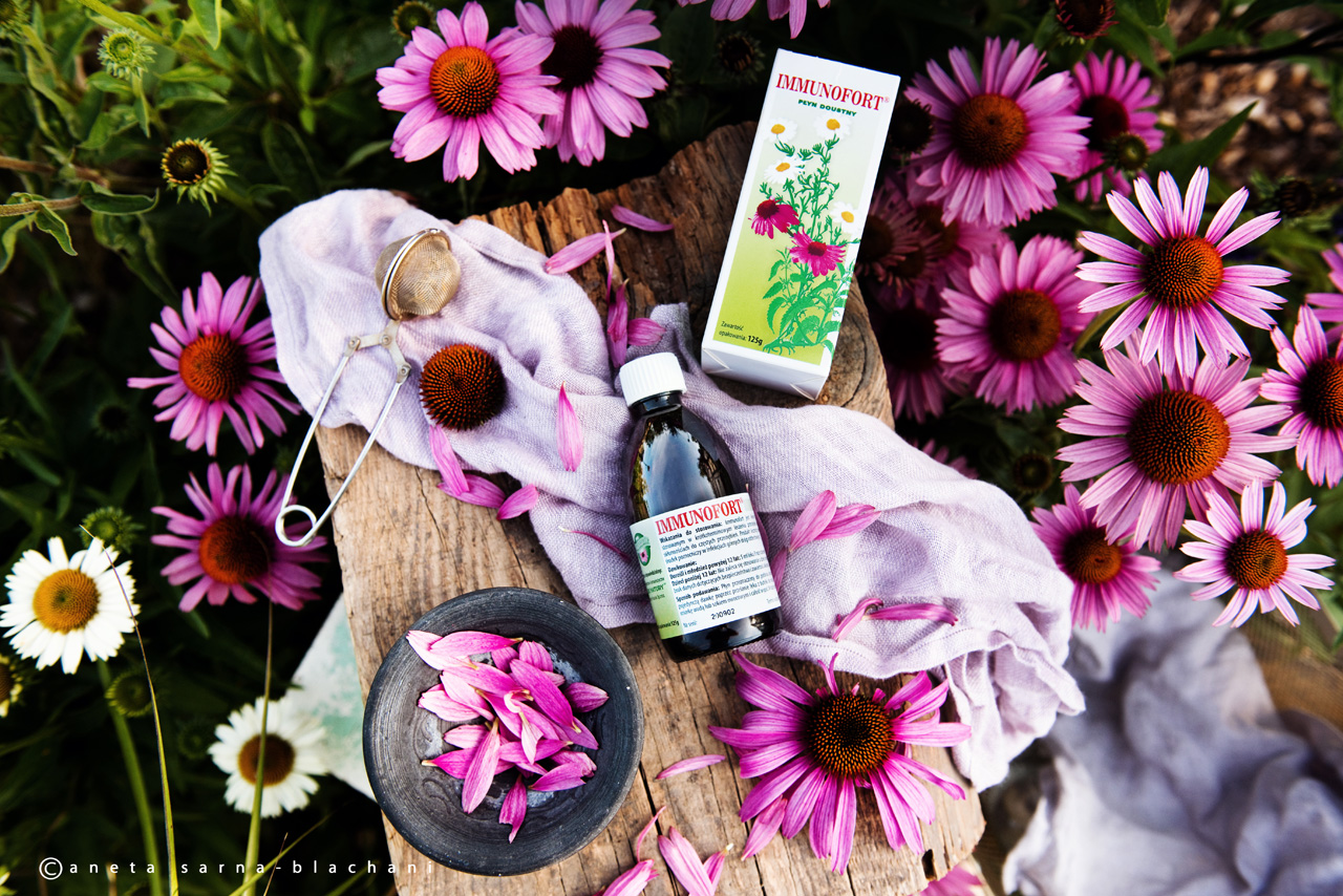 zdjęcia reklamowe lublin